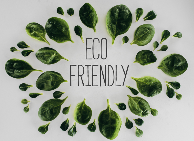 How Eco-Friendly is Your State?