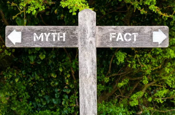 Recycling Myths: Separating Fact From Fiction