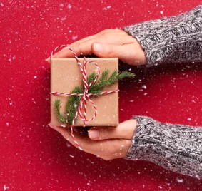 “A New Thermostat” Just the Christmas Gift I Always Wanted